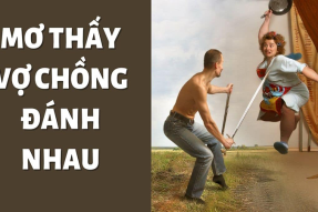 Mơ thấy 2 vợ chồng đánh nhau đánh con gì dễ trúng?