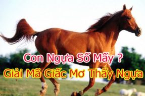 Con ngựa số mấy? Mơ thấy ngựa là điềm báo gì?