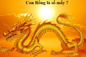 Con rồng số mấy? Mơ thấy rồng là điềm báo gì? Tốt hay xấu?