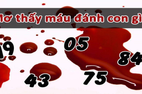 Mơ thấy máu đánh con gì? Hên hay xui?