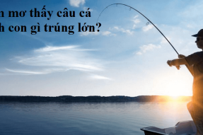 Mơ thấy câu cá có ý nghĩa gì? Mơ câu được cá đánh con gì?