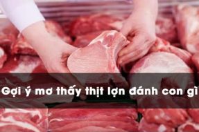 Nằm mơ thấy thịt heo đánh con gì, số gì mang lại may mắn?