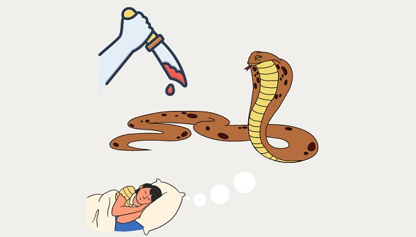 Mơ thấy giết rắn đánh con gì? Giải mã giấc mơ thấy giết rắn 3