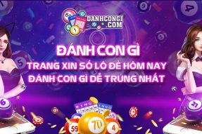 Bao lô đầu đuôi là gì: Tìm hiểu về khái niệm và ý nghĩa của cách đánh này