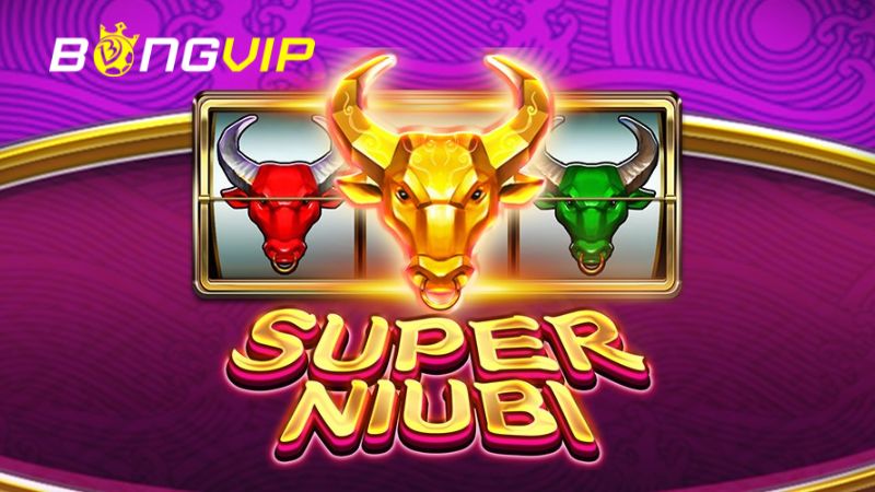 Đôi nét khái quát về Super Niubi