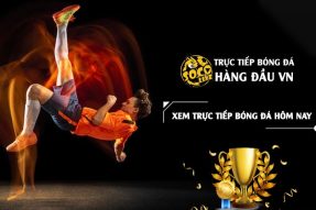 Socolive – trang xem trực tiếp bóng đá top 1 thế giới