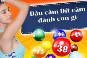 Đầu lô câm là gì? Đầu 8 câm đánh con gì?