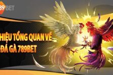 Đá Gà 789Bet – Trận Đấu Kịch Tính Và Nhiều Kèo Thưởng Hấp Dẫn