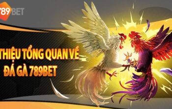 Đá Gà 789Bet – Trận Đấu Kịch Tính Và Nhiều Kèo Thưởng Hấp Dẫn