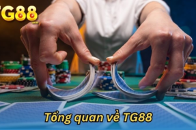 Nhà cái TG88 – Sân chơi cá cược ăn thưởng uy tín nhất hiện nay