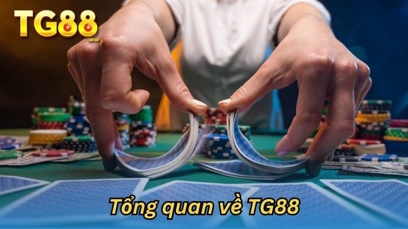 giới thiệu về nhà cái TG88