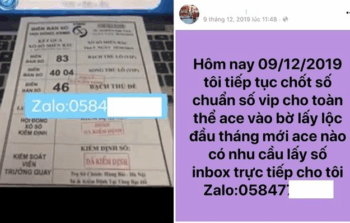 Giải Mã Tin Đồn: Sự Thật Về Công Ty Xổ Số Bán Số Chiều Sổ Cho Dân Đề?