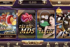 Tài Xỉu TDTC tựa game hấp dẫn cùng số lượng cửa cược đa dạng