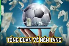 Review Độ Chính Xác Của Dữ Liệu 7M Đến Với Hội Viên