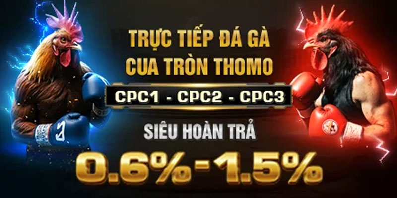  Giao diện đặt cược đá gà EE88 với tỷ lệ kèo rõ ràng.