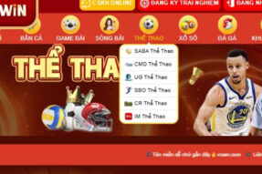 Thể Thao VSWIN – Trang cá cược uy tín, nhiều ưu đãi hấp dẫn