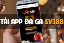 Đá Gà SV388 – Sân Chơi Trực Tuyến Đỉnh Cao tại Việt Nam
