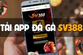 Đá Gà SV388 – Sân Chơi Trực Tuyến Đỉnh Cao tại Việt Nam