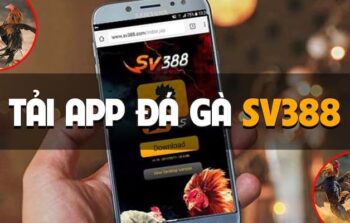 Đá Gà SV388 – Sân Chơi Trực Tuyến Đỉnh Cao tại Việt Nam