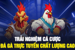 Đá gà Gem88 – Trải nghiệm đấu trường đá gà kịch tính