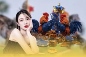 Hướng dẫn cách xem đá gà trực tiếp chất lượng cao, không giật lag, xem mượt trên mọi thiết bị