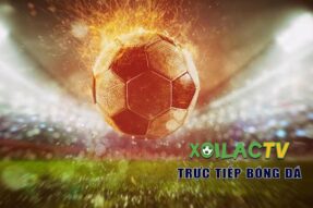 Lịch thi đấu bóng đá cuối tuần – Không bỏ lỡ trận hay