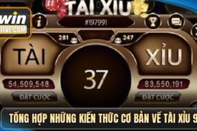 Tài xỉu 98win – Đỉnh cao giải trí cùng những ván cược bùng nổ
